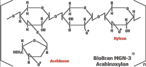 Chemical structure of BioBran MGN-3 Arabinoxylan